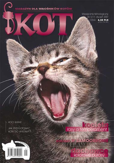 czasopisma o kotach