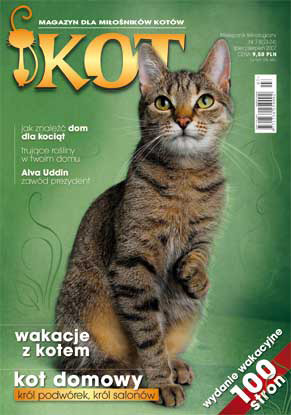 jak zapobiec zaginieciu kota - artykuł z magazynu kot
